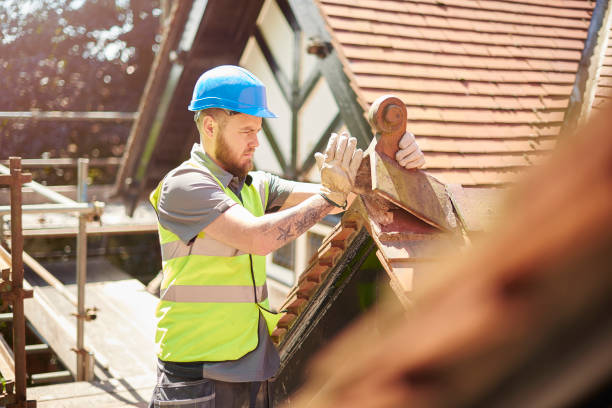 Roof Gutter Cleaning in Piru, CA